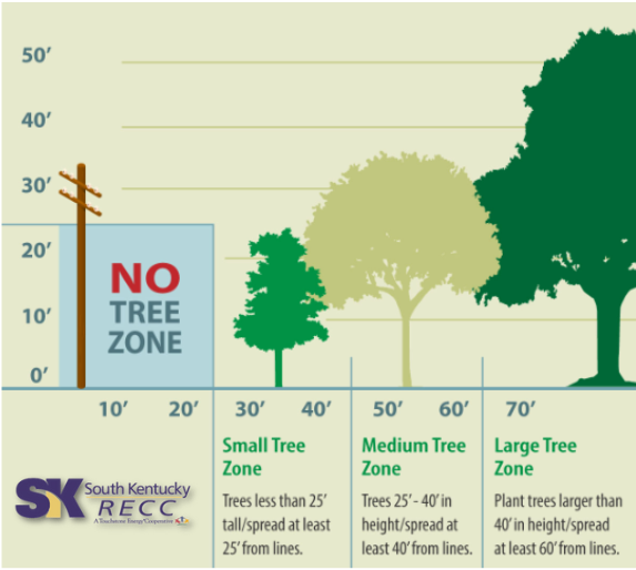 Tree Planting Guide